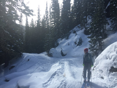 Heading up Forest Lakes Trail.