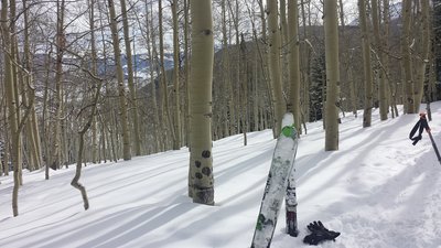 About 1/3 way up the skin track on the ridgeline with Aspens. Great Views in the Red Coon Glades!