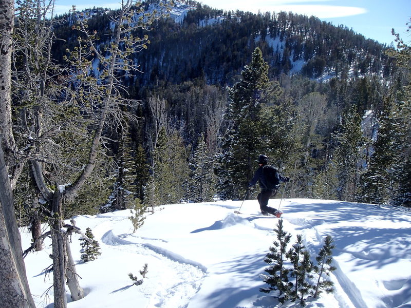 Starting down Burnt Knob. The headwaters area of Red Lodge Mountain is visible in on the slope in front of the skier.