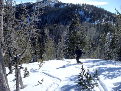 Mountain Info, Red Lodge Mountain