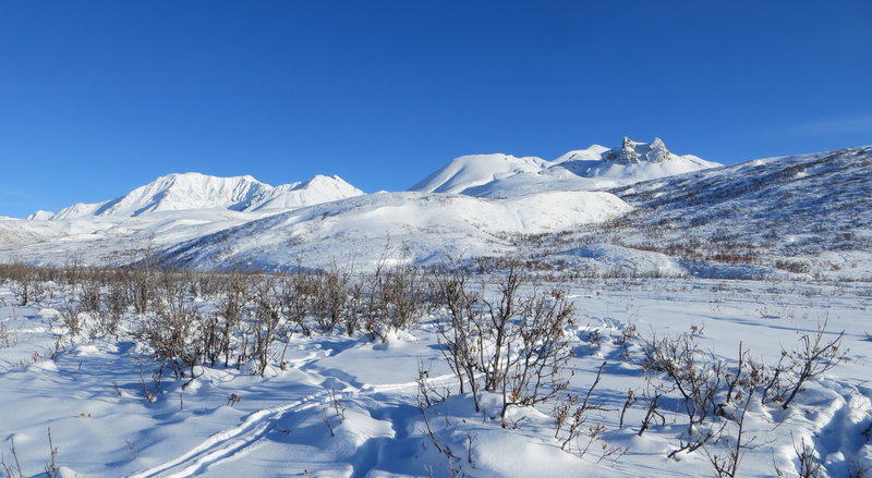 The flats of the first 4 miles. In early season or low snow, alders may slow you down. The College Glacier is located in the valley in the center of the photo.