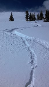 One of the decent lines off of Gold Hill near tree line on a particularly nice morning.