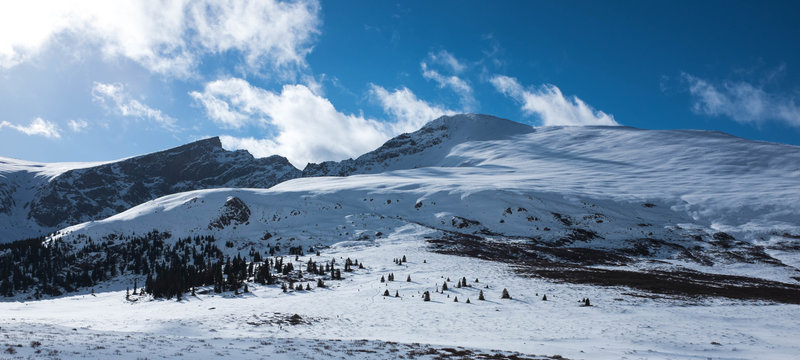 Mt. Bierstadt from near Guanella Pass.