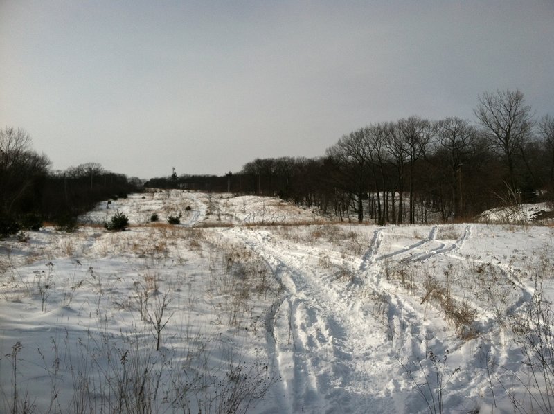 The old, abandoned ski trail atop Mt. Tom makes for a great tour.
