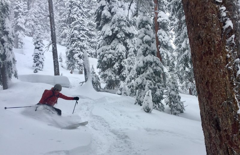 Allie tearing up the Christmas pow!