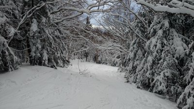 Tucker Brook Trail descends down the backside of Cannon Mountain.