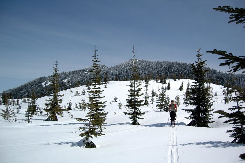 Heading up toward the summit and old-growth forests of Mt. Margaret is both beautiful and fun!