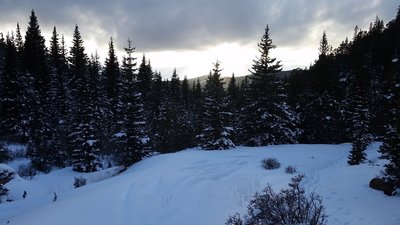 This is the view looking west from a clearing near the end of the Lower Devils Playground Trail.