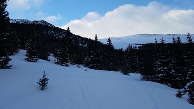 From the clearing looking toward cirque.