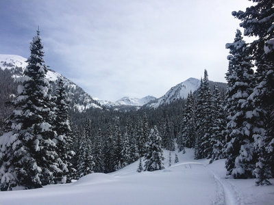 Yup, that's New York Mountain off to the right.