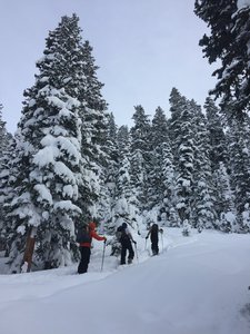 Our group gets ready to head up the approach.