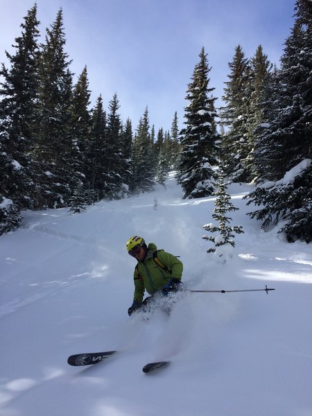 Fresh turns await off Mount Trelease!