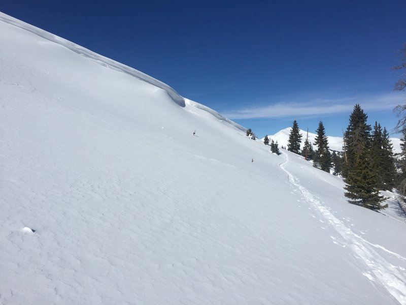 This is a view of the top section between the cornice and trees.