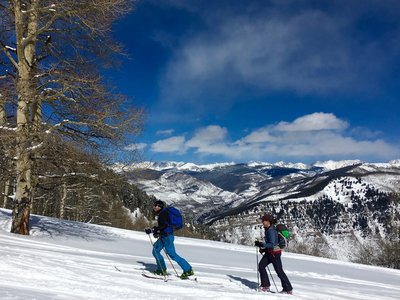 A huge aspen and the Gore Range makes a nice distracting scene during your climb.