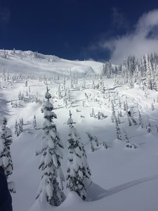 Great Expectations certainly met mine!