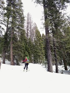 Don't forget to look back through the trees and enjoy the view on Kaiser Pass.