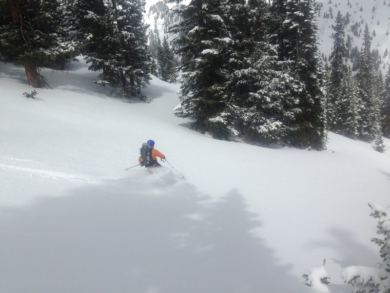 Dropping a knee down the north side of Mt. Trelease.