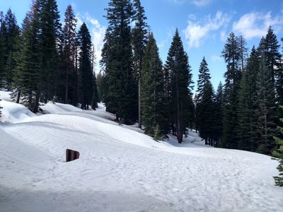 The third switchback on the way to Black Butte.