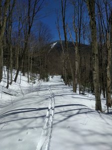 Skiing back down toward North Tripyramid, enjoy the pleasant wooded corrador.