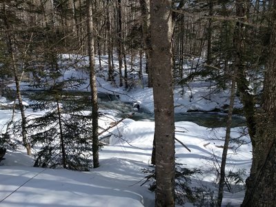 Livermore Trail runs along Avalanche Brook for awhile.