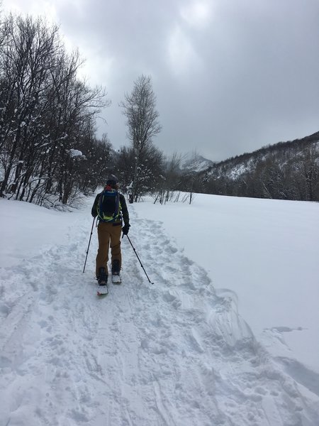 First half of skin in is very tracked out by hikers and snow shoes