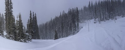 Trail Ridge Road in Early February.