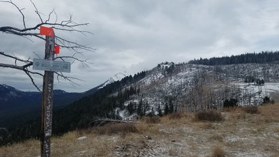 Park Boundary Line approaching the dead fall