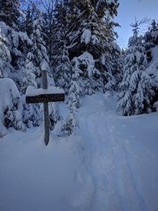 A side trail to an old radio tower. Turn left to stay on the Al Merrill Ski Trail.