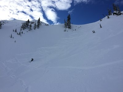 Descending Blueberry Bowl.