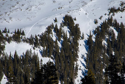 Fresh line in the Bong Chute, January 2016