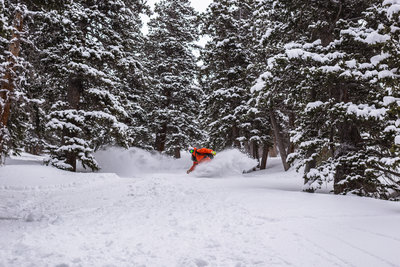 Shredding the Pinky Trib on a Spring pow day