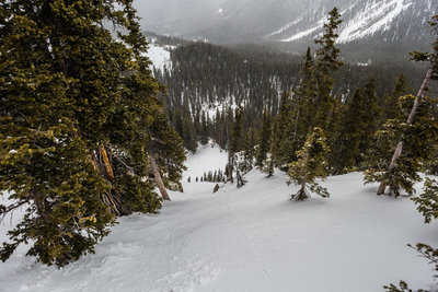Teddy's on a stormy Spring day