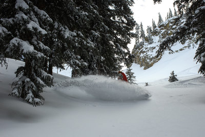 Pow slash in the trees