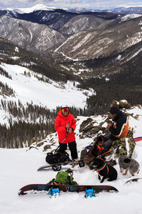 Dogs chillin, getting ready to ride What's Mine, April 26th, 2017