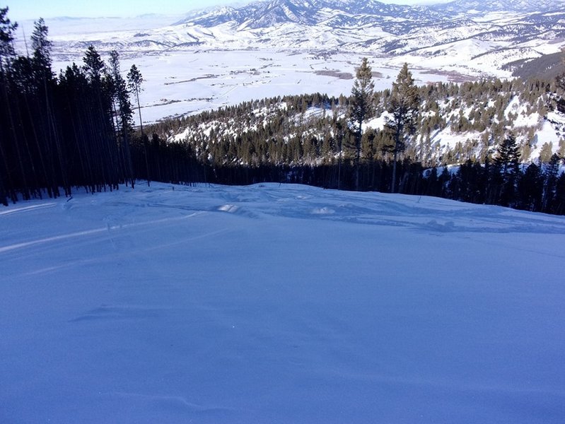 Looking down East Line of Little Ellis - down open slopes east of line of lodgepole pines