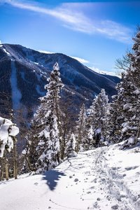 Trail to the Snowshoe Couloir