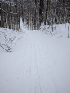 One of the drops coming down the Badger Trail