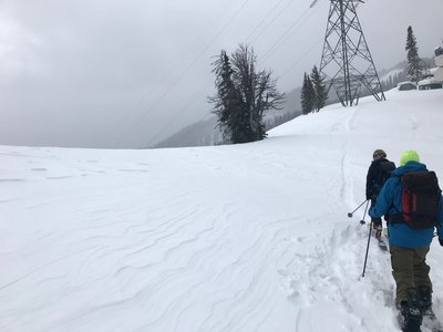 Skinning under the powerlines.