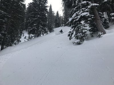 Double Barrel freshies.