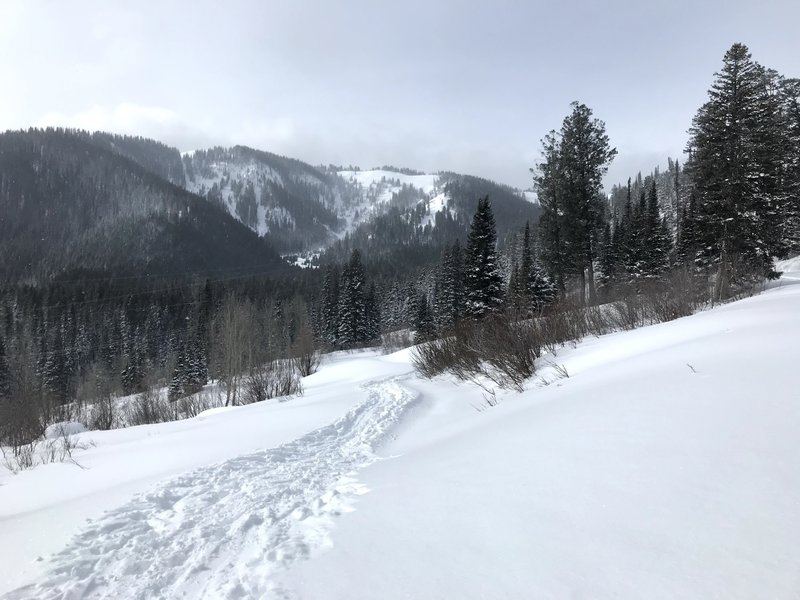 Looking west toward Avalanche Bowl (right) and The Claw (left) from Old Pass Road.