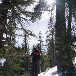 Brief rest in the skin track up toward Incline Peak