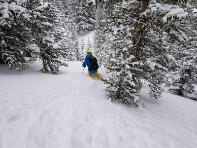 Corner Pocket Trees before hitting the Second Creek Drainage