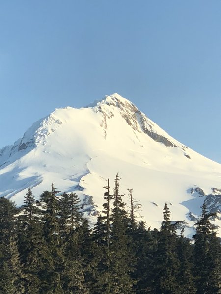 Wy’east face is the aspect under the left side of the east face of Mt. Hood.