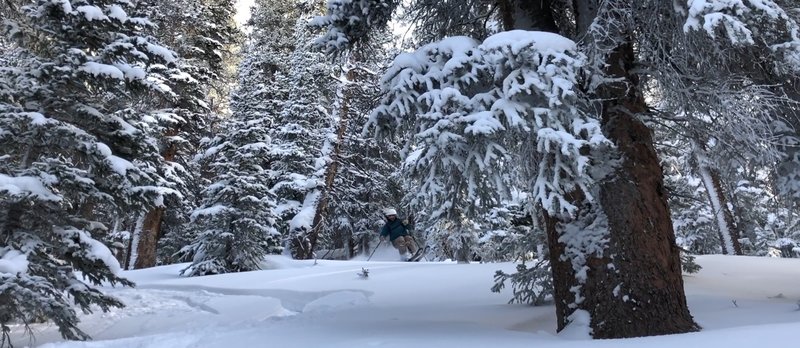Kevin G skiing 6.5 - Dec 9 2018
