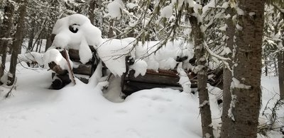 Old Cabin on 6.5 before getting the the Frazier River and the Waterfall on 7 Mile