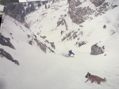 Looking down on Indy Dog, Brittany, and Pete
