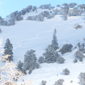 Here you can see my ski tracks in Flap-Doodle Bowl.  You can also see one of my skin tracks.  This picture was taken while ascending Crescent ridge.