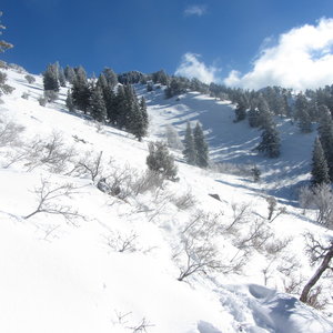 More turns in Flap Doodle bowl.  The more northerly aspect of the bowl holds better snow.