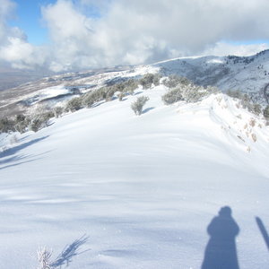 Great skiing from the top of Flap Doodle.  Note the Junipers.  This photo is facing north.