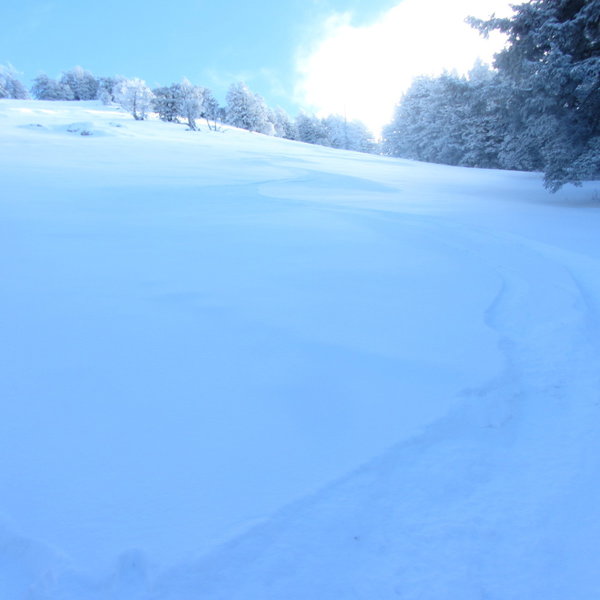 My ski tracks down Black's Peak Apron...sloppy turns, I know.  This is nearing the base of the run and looking back up it.